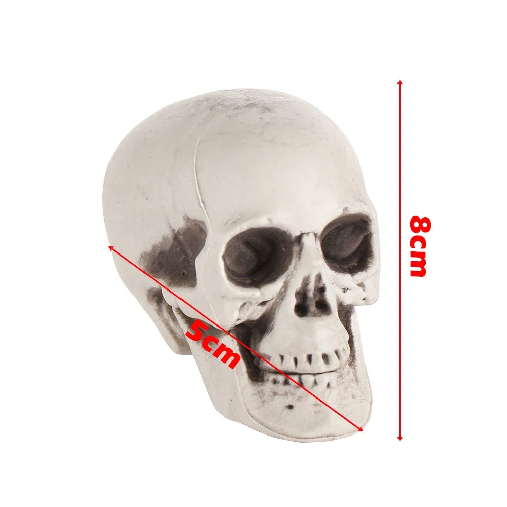 Hanging Human Skull Skeleton Halloween Photo Prop - Multiple Colors