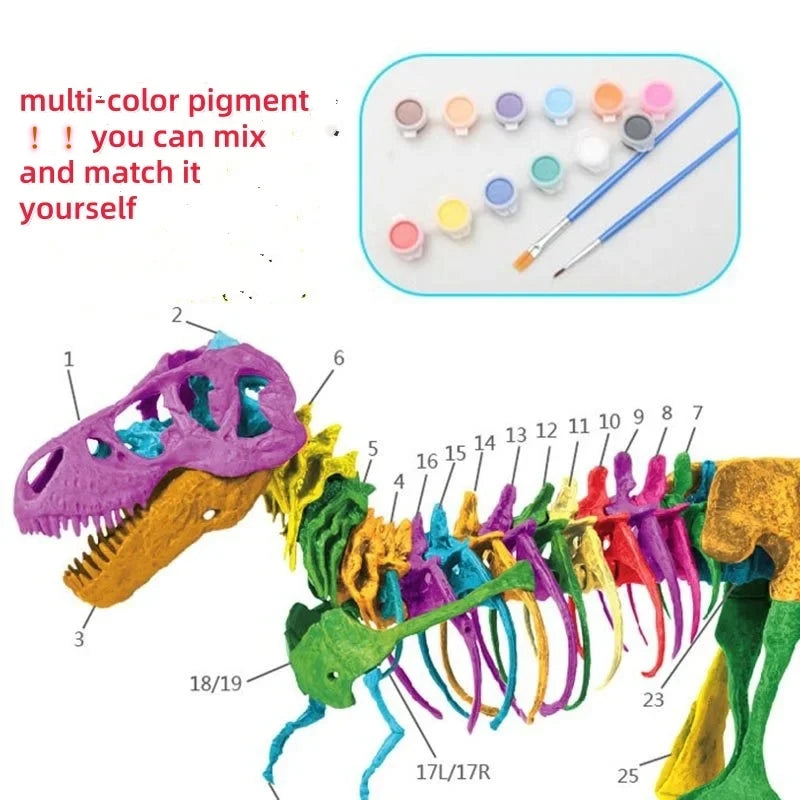 Large Dinosaur Skeleton Toy Model for Kids - DIY Fossil Skeleton Decoration