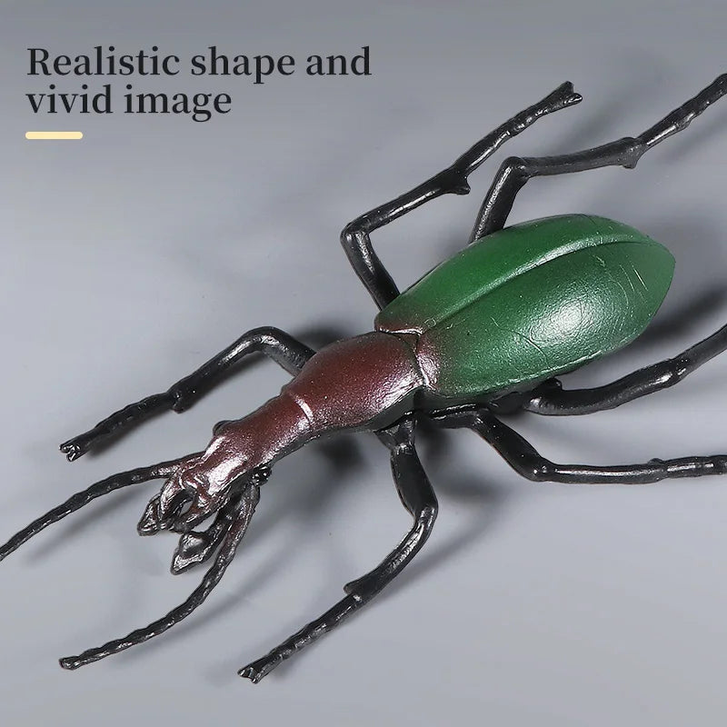 Educational Animal Model Toy - Unicorn Beetle Longhorned Bee Insect Figure for Kids