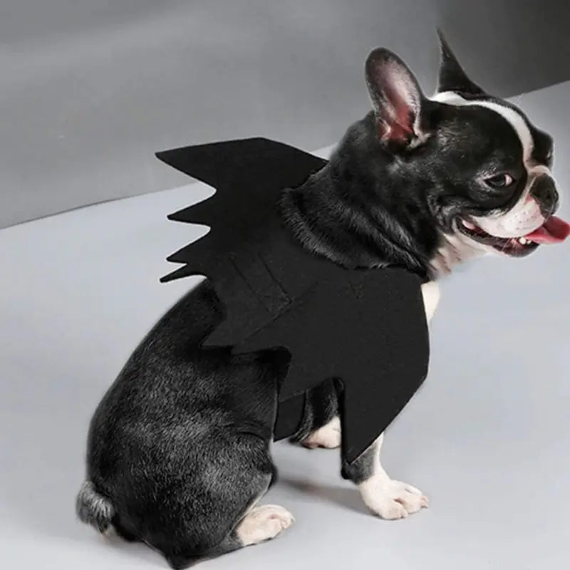 Pet Cat Dog Bat Wings Costume Role Play Accessory Halloween Cosplay