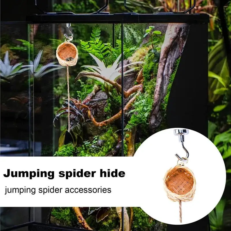 Natural Jumping Spider Shelter House Small Animal Habitat Enclosure Handmade