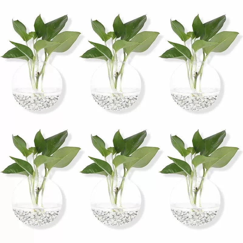 Wall Hanging Glass Terrarium with Self-Watering System - Handmade Round Crystal Vase
