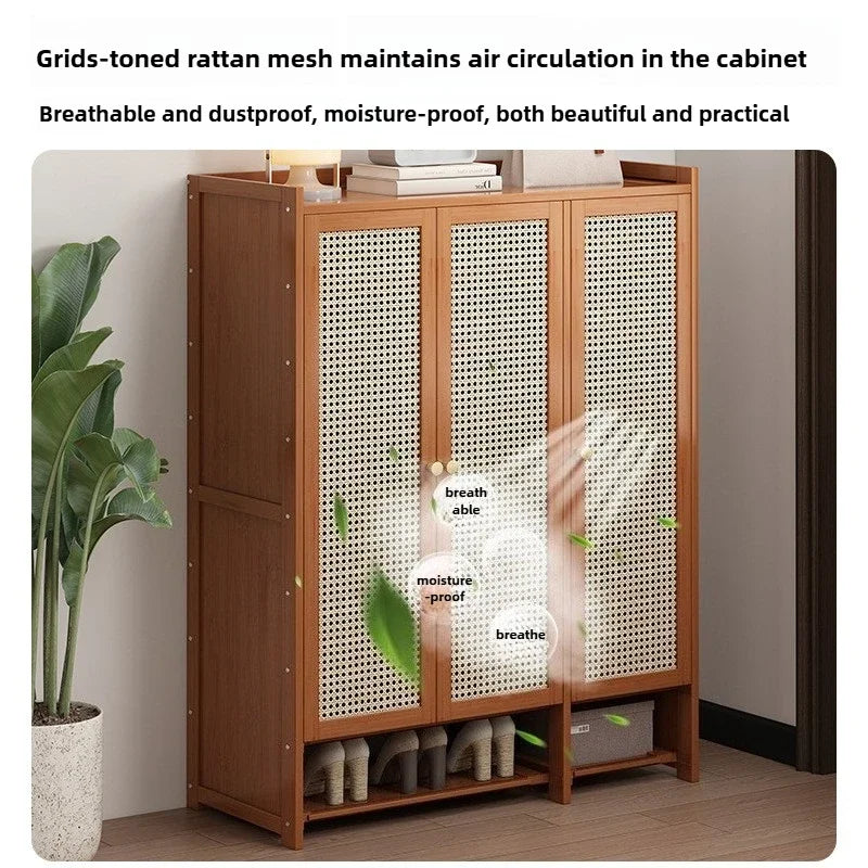 Door Mounted Shoe Rack Multi-Layer Wall Organizer Dust-Proof Storage Solution