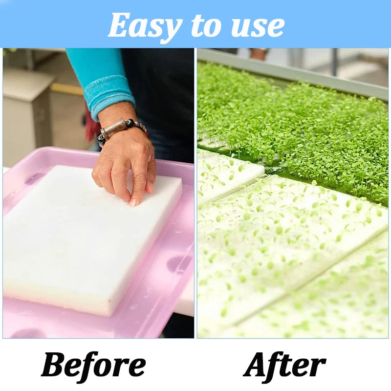 500PCS Hydroponic Sponge Cubes for Seedling Propagation Garden Planting