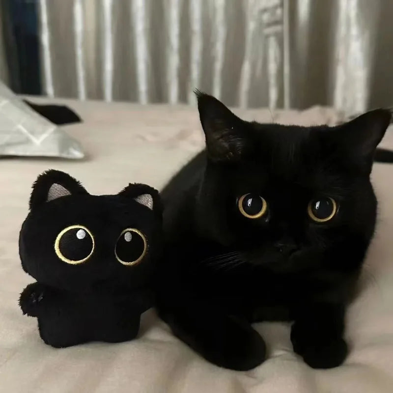 10cm Cute Black Cat Plush Toy Doll Small Pendant Stuffed Animal for Kids Gift