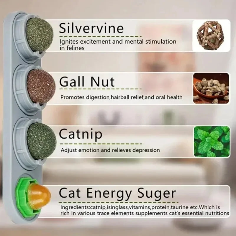 4-in-1 Rotating Catnip and Silver Vine Toy for Cats - Teeth Cleaning & Digestive Health