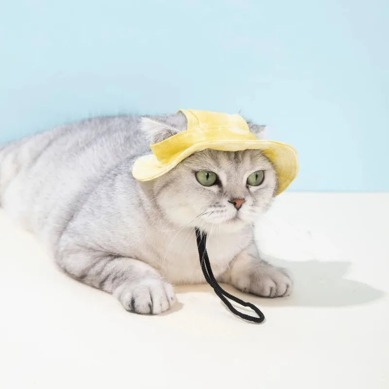 Pets Sun Hat with Ear Holes - Adjustable Baseball Cap for Dogs & Cats - Summer Outdoor Pet Accessory