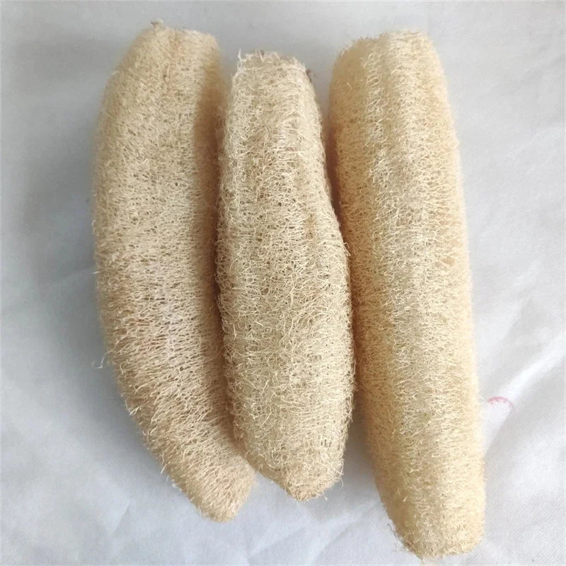 Natural Loofah Sponge for Body & Kitchen Cleaning - Multi-purpose Scrubber