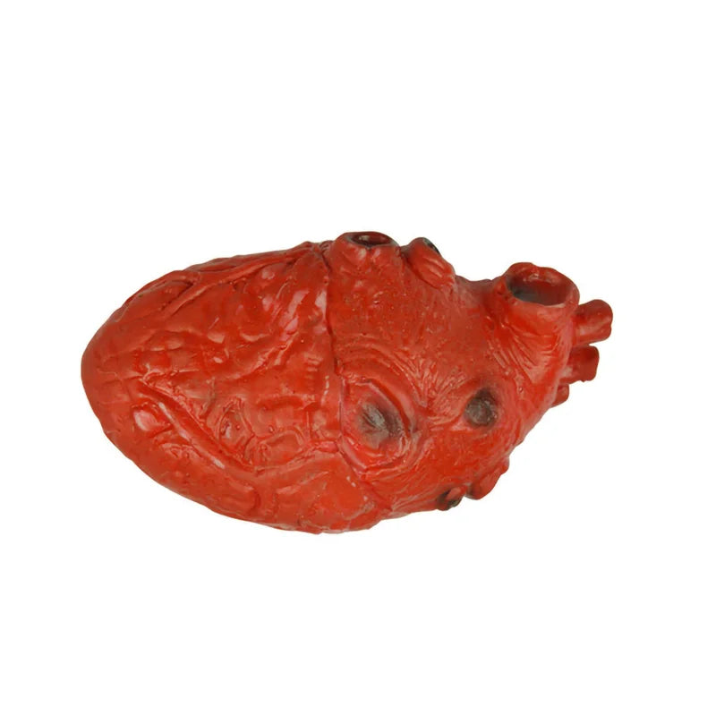 Halloween Bloody Severed Human Heart Fake Gory Body Part Decoration