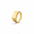 Men's & Women's Rock Punk Signet Rings - Fashion Party Jewelry