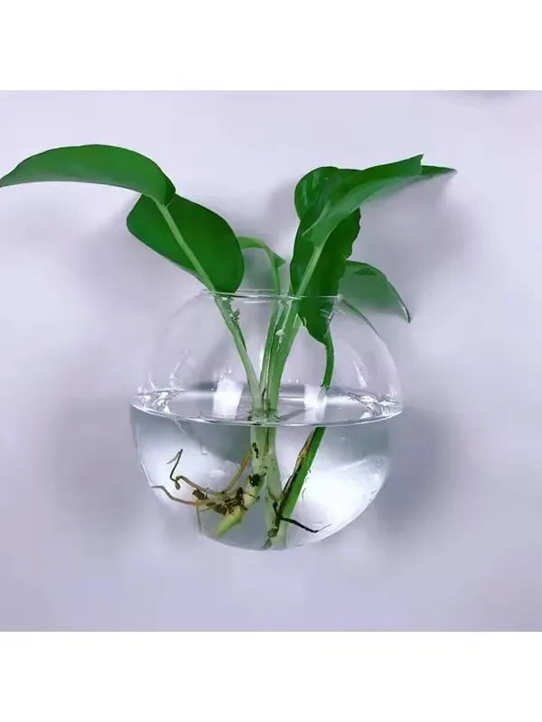 Wall Hanging Glass Terrarium with Self-Watering System - Handmade Round Crystal Vase