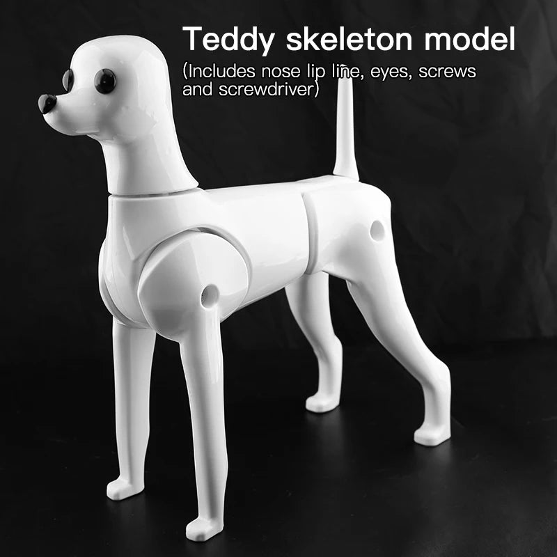 Dog Grooming Practice Skeleton Model with Fake Hair - Full Body Pet Training Tool