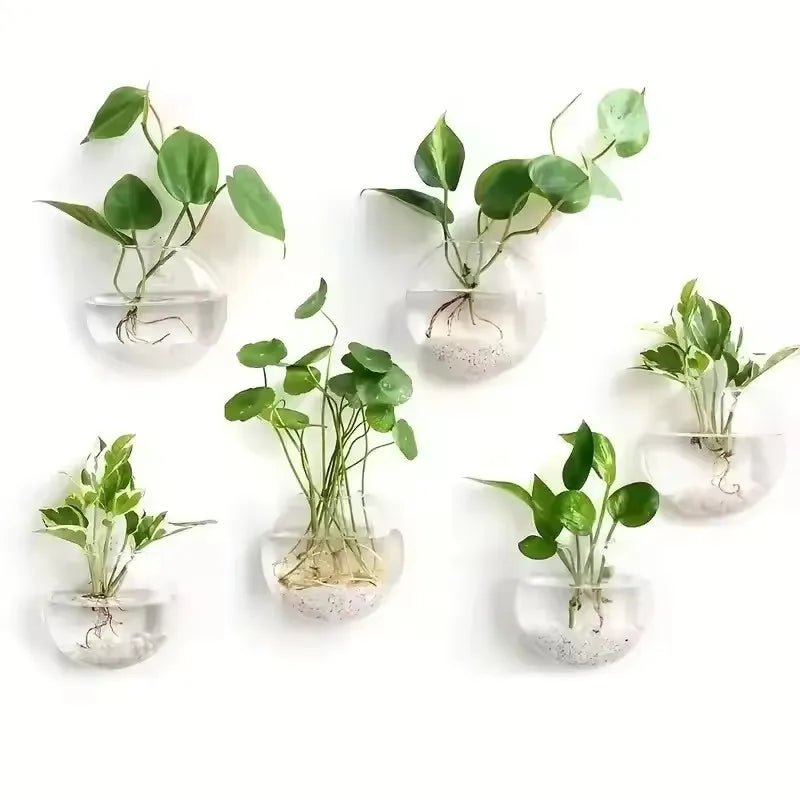 Wall Hanging Glass Terrarium with Self-Watering System - Handmade Round Crystal Vase