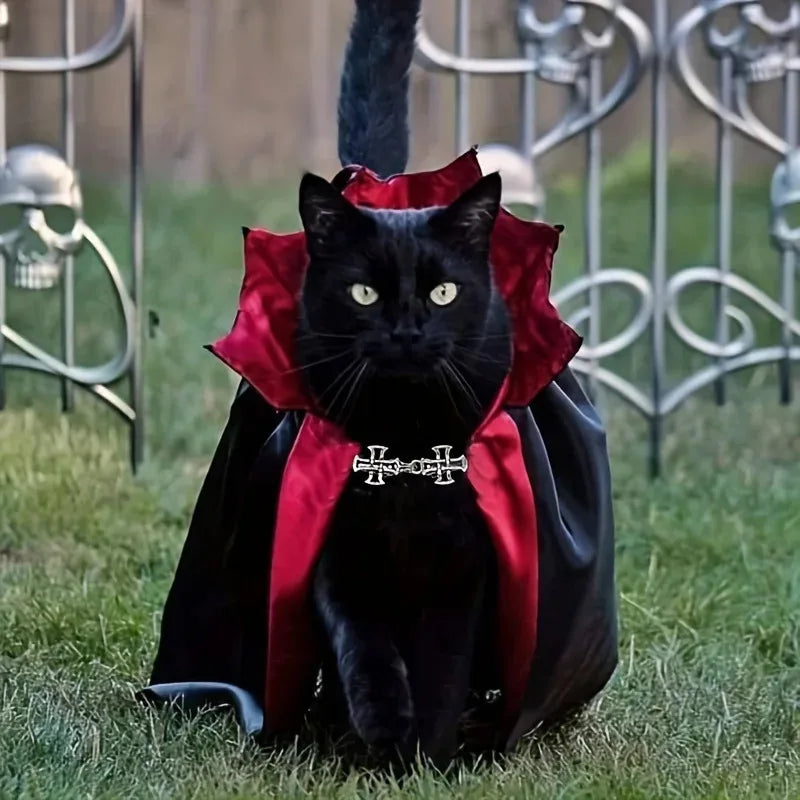 Halloween Vampire Cat Costume Set with Cloak & Hat for Pets