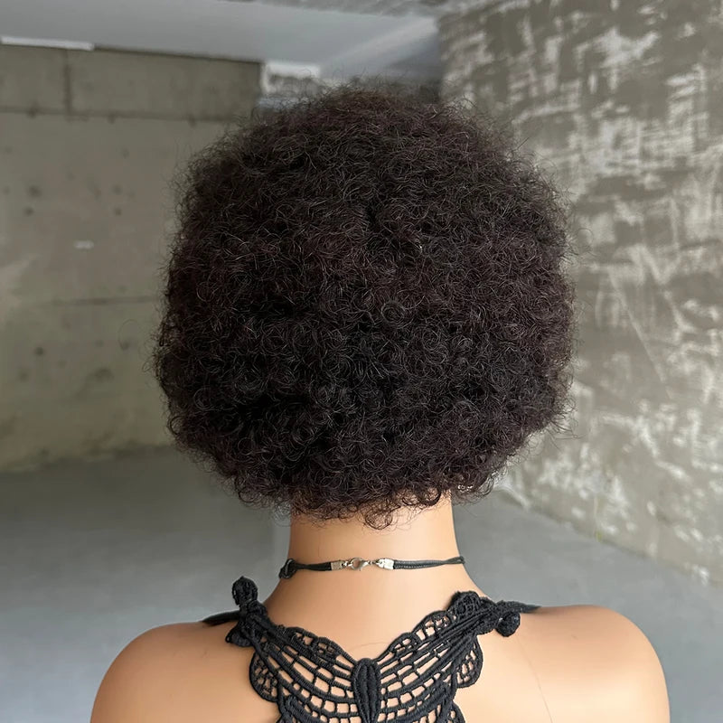 Short Afro Kinky Curly Human Hair Wigs for Women - Full Machine Made Wig