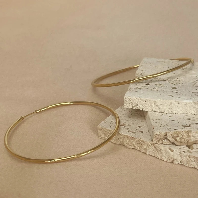 Minimalist Stainless Steel Hoop Earrings for Women – 12-70mm Round Gold or Silver Plated Jewelry