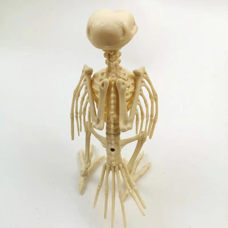 Halloween Skeleton Raven Decor - Plastic Bird Skeleton Prop for Spooky Scene