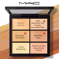 Longwear Concealer & Corrector Palette - Light 6g, Full Coverage, Natural Finish Makeup