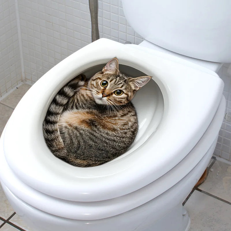 Funny Cat Toilet Sticker Wall Decal - Bathroom WC Accessories