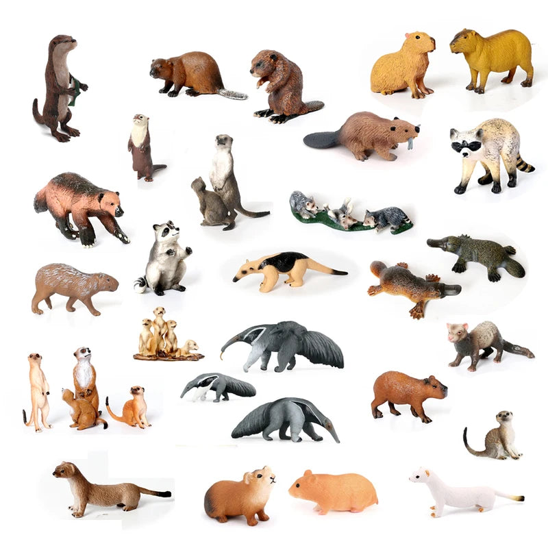Wild Animal Model Figures Set - Forest Creatures for Kids Collection
