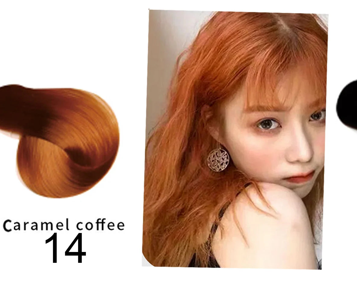 Permanent Hair Dye Shampoo with Argan Oil - Long Lasting Color for Gray Hair
