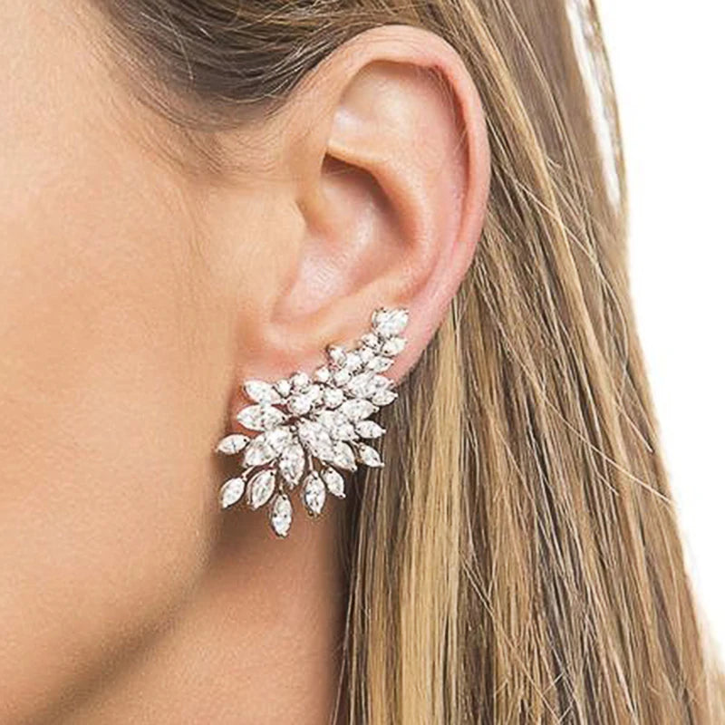 Sparkling Women's Cubic Zirconia Stud Earrings for Wedding & Party