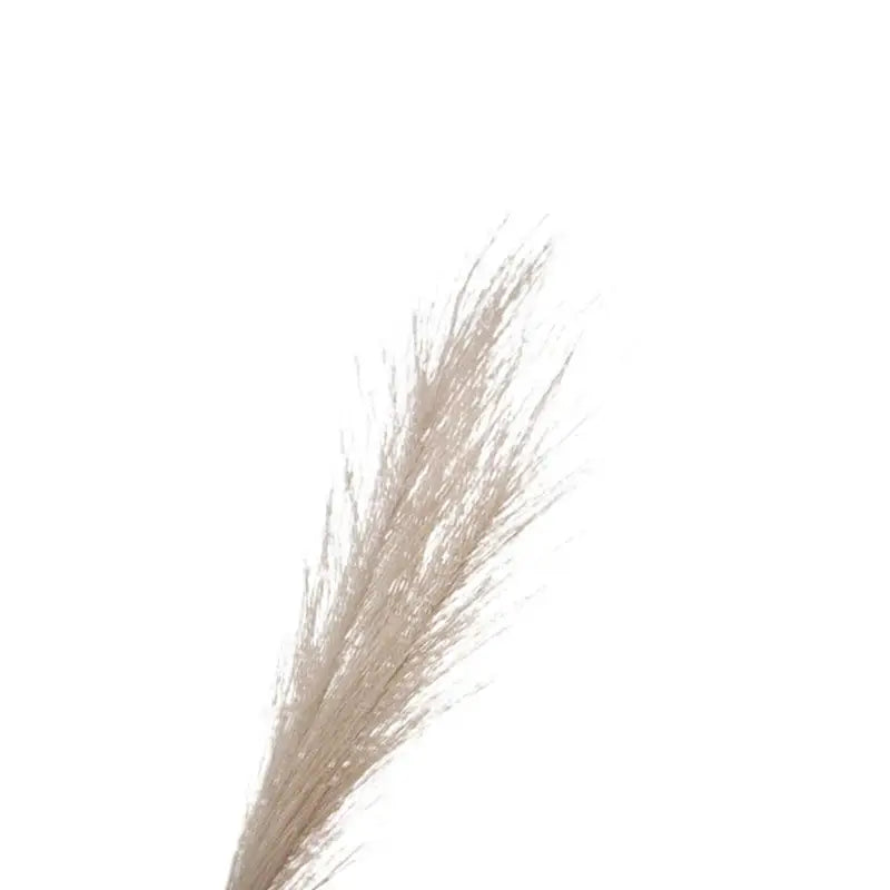 Artificial Pampas Grass for Home & Wedding Decor - Fake Flowers & Plants