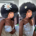 Kinky Curly Bob Wig for Women Natural Color Human Hair 250% Density