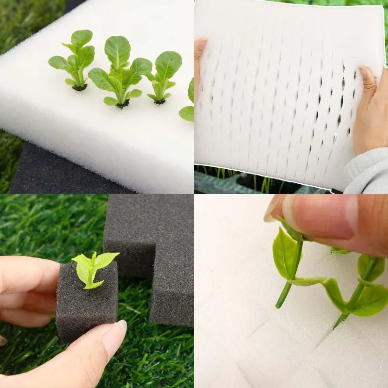 Hydroponic Plant Growing Sponges 100-500pcs Square Soilless Cultivation Blocks