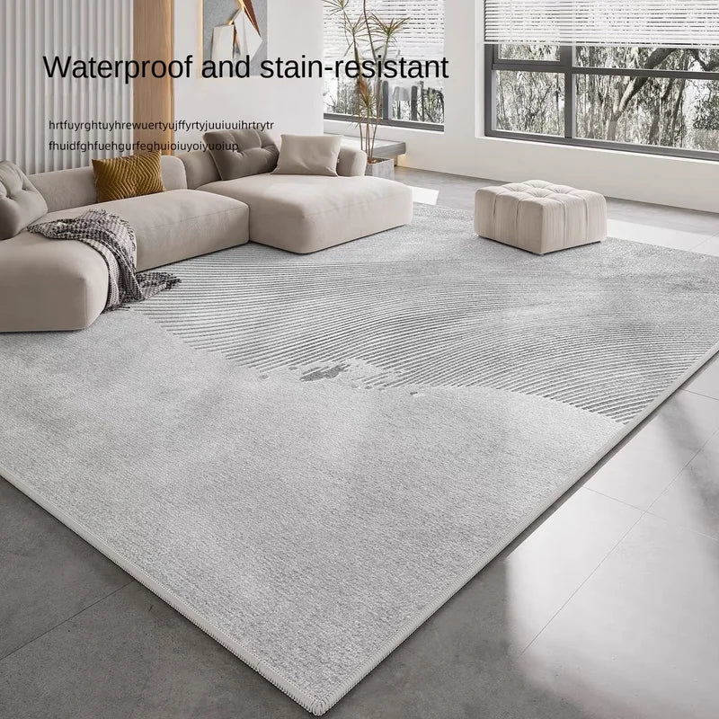 Large Velvet Area Rug for Living Room Bedroom Balcony Minimalist Home Decor