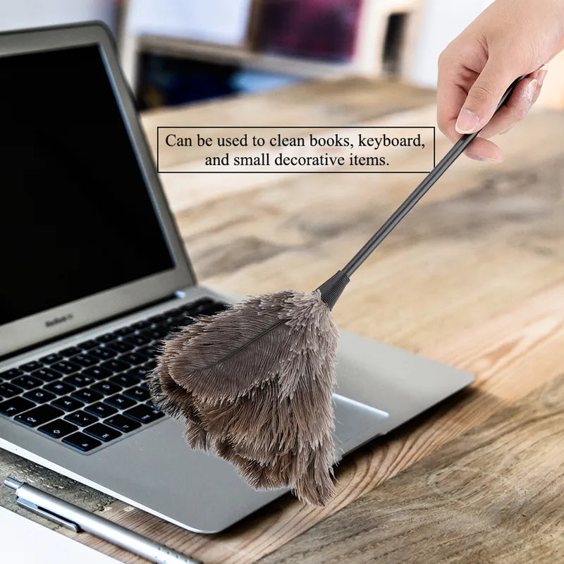 Mini Ostrich Feather Duster for Books Keyboard & Home Cleaning
