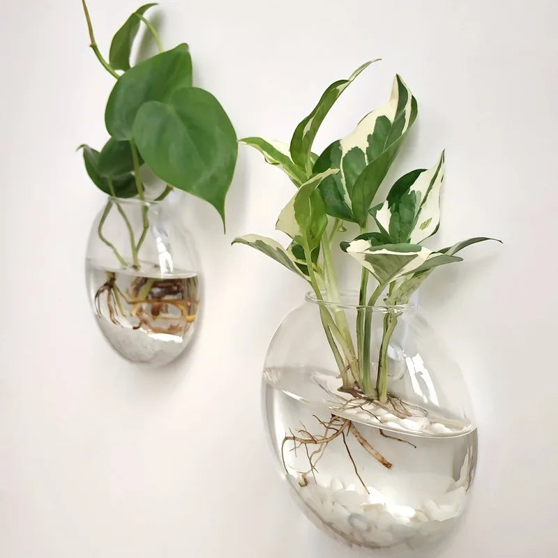 Wall Hanging Glass Terrarium with Self-Watering Hydroponic System - Handmade Round Crystal Vase