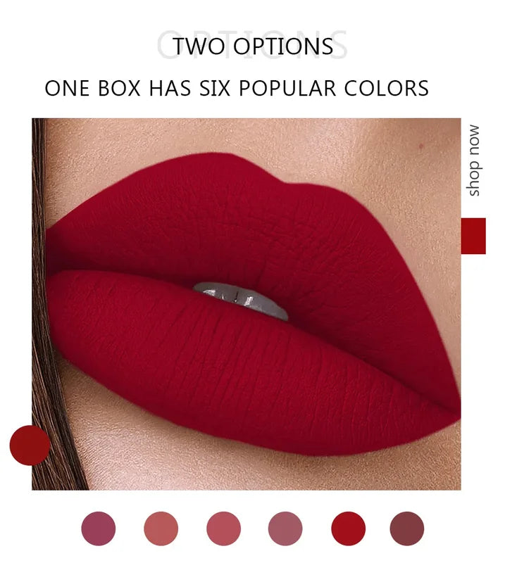 Long Lasting Waterproof Matte Lip Gloss Set - Lip Tint & Lipstick Gift Box