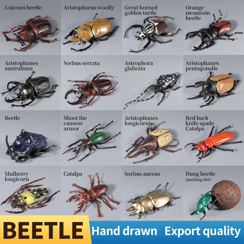 Educational Animal Model Toy - Unicorn Beetle Longhorned Bee Insect Figure for Kids