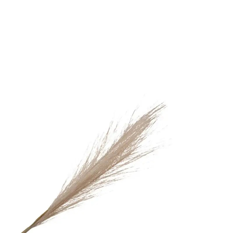 Artificial Pampas Grass for Home & Wedding Decor - Fake Flowers & Plants