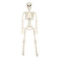 Halloween Skeleton Skeleton Set - Posable Human Bones Decor for Haunted House & Party