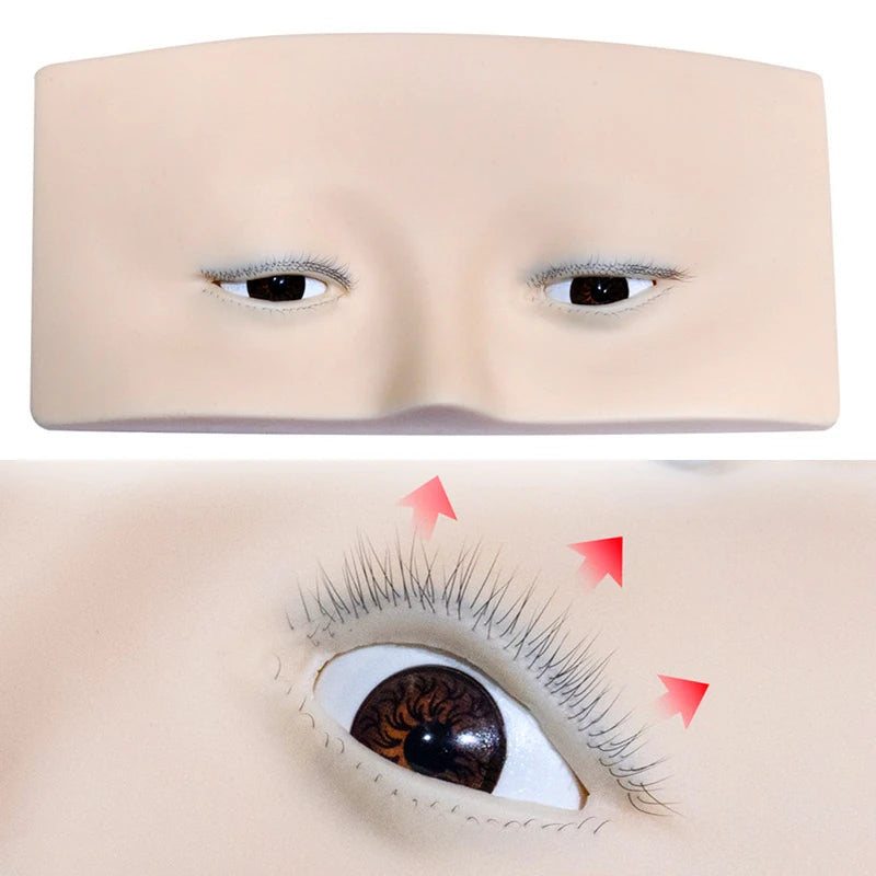 Reusable Human Head Model for Eyelash Practice and Styling Display