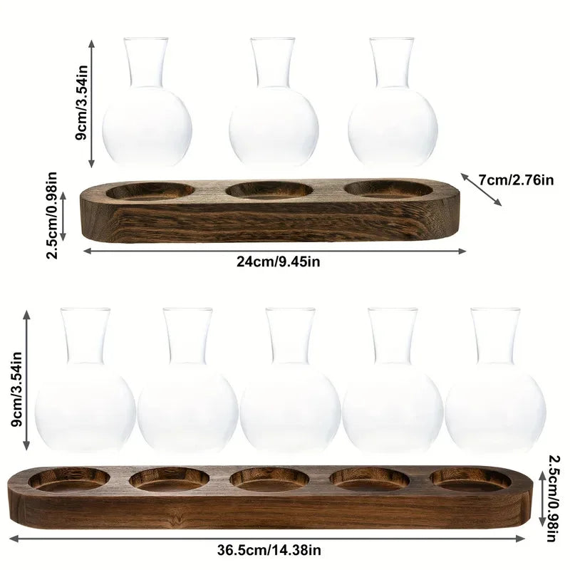 Glass Terrarium with Wooden Tray for Indoor Plants and Propagation