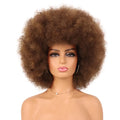 Full Wigs for Women Afro Kinky Curly Synthetic Wig Natural Look Party Cosplay