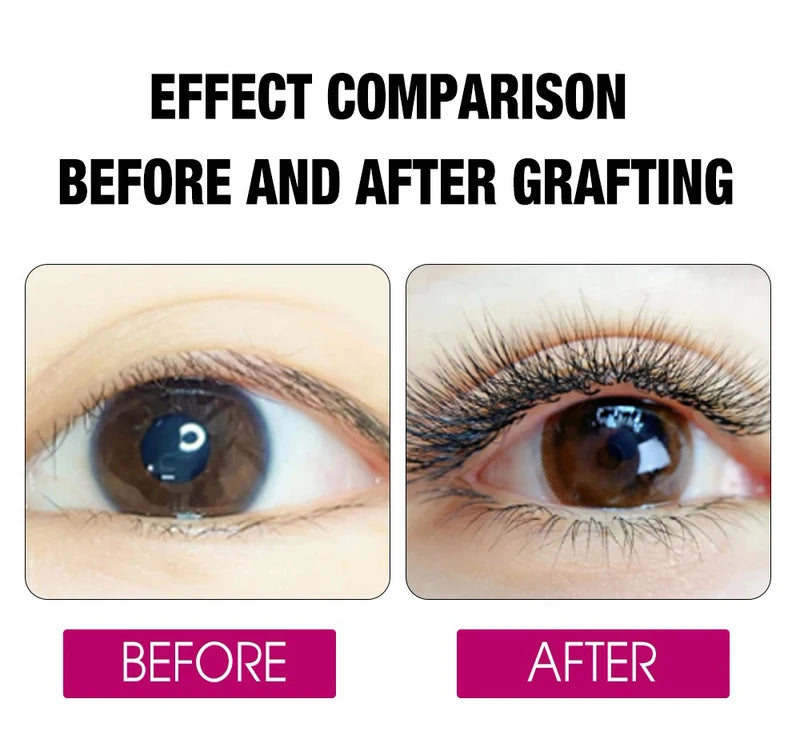 False Eyelash Extensions 8D W-Shaped Fans Soft Volume 0.07mm Mixed Lengths