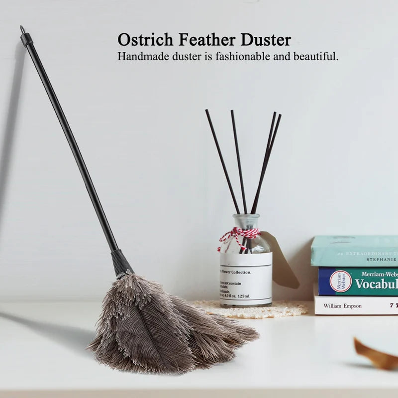 Mini Ostrich Feather Duster for Books Keyboard & Home Cleaning