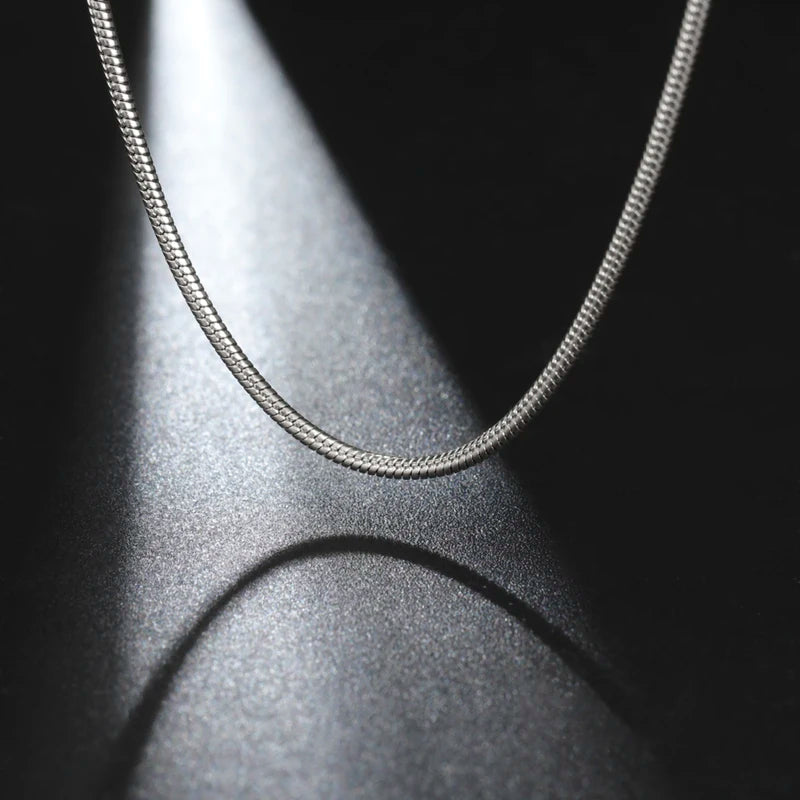 Unisex Stainless Steel Snake Chain Necklace - Men Women Hip Hop Punk Jewelry