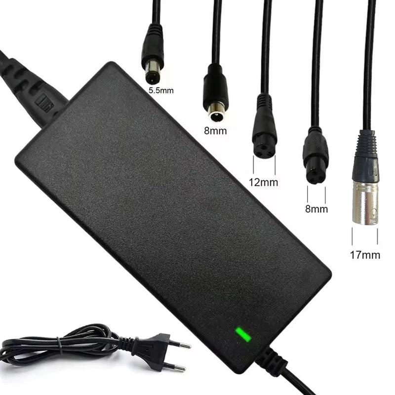 54.6V/42V 2A Lithium Battery Charger for 36V/48V E-Bike & Scooter Batteries
