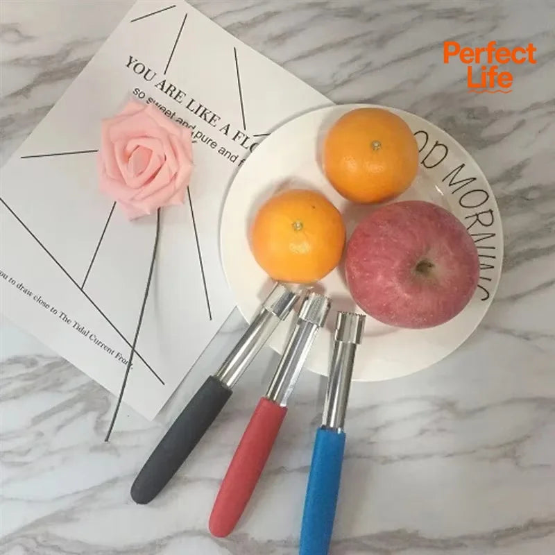 Fruit Corer and Pitter Tool for Apples Pears Bell Peppers Stainless Steel Kitchen Gadget