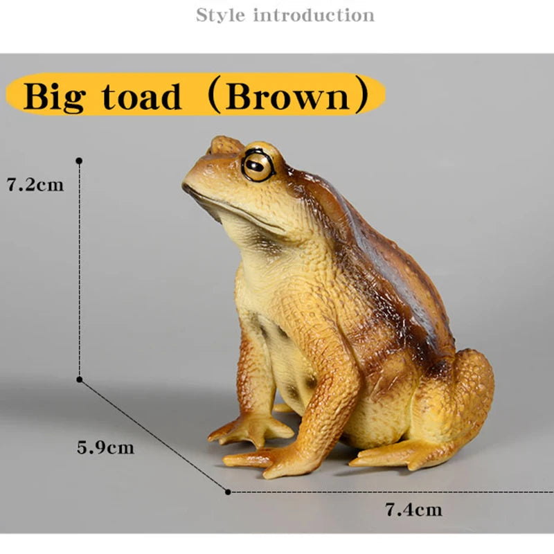 Educational Realistic Frog Figurine Hand Painted Animal Model Toy for Kids