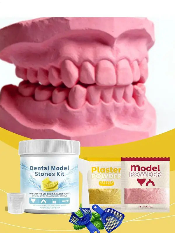 Plaster Teeth Model Kit for Dental Education and Crafting - Teeth Molding Tool