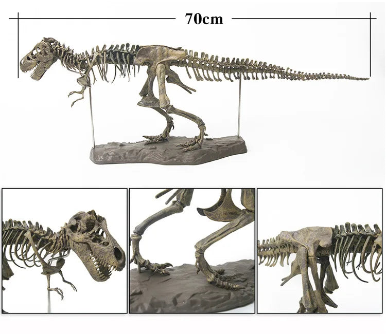 Large Dinosaur Skeleton Toy Model for Kids - DIY Fossil Skeleton Decoration