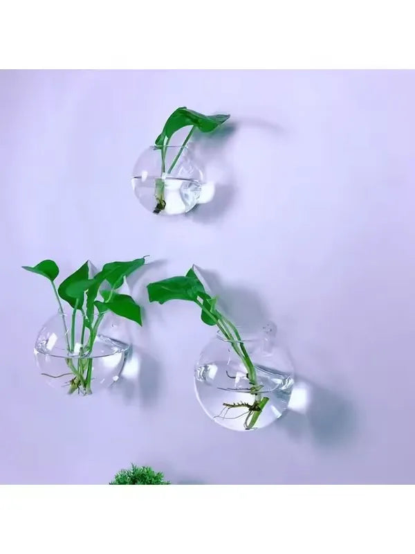 Wall Hanging Glass Terrarium with Self-Watering System - Handmade Round Crystal Vase