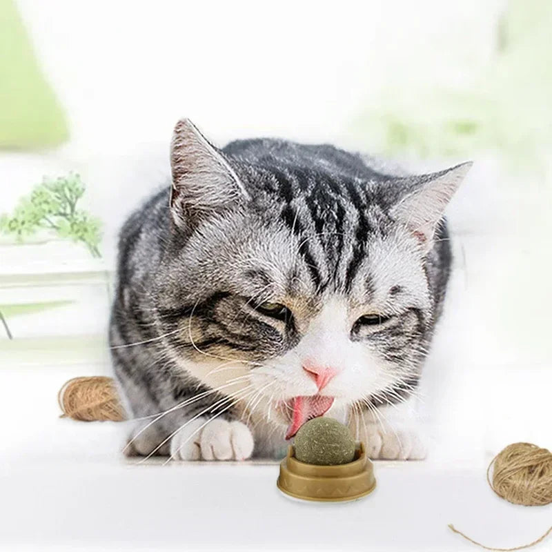 Pet Catnip Toys Ball Set Edible Catnip for Cats Safe Healthy Chasing Play