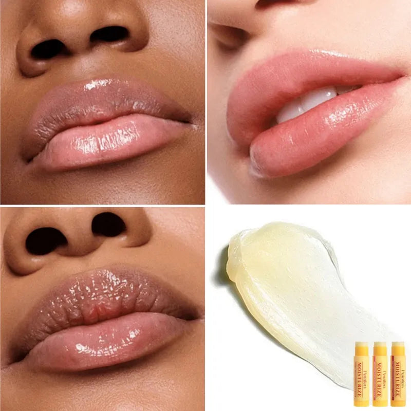 3-Piece Lip Balm Set with Lipstick Base Hydrating Natural Plant Lip Care